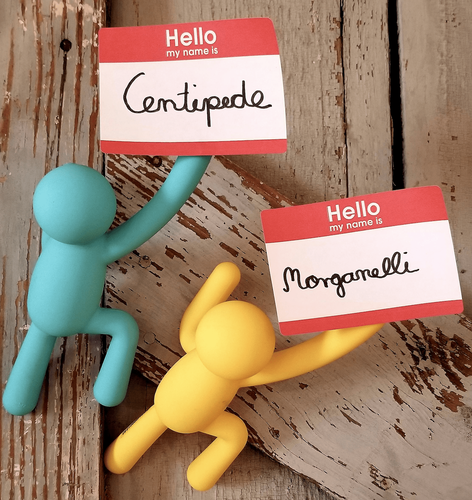 #GetADifferentNameDay – The Importance of Naming